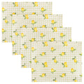 Fruits Citrons Lot de 4 Sets de Table Intérieur/Extérieur Sauge